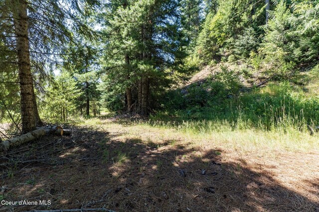 NKA Coeur Dalene River Rd, Kingston, ID 83839 - photo 10
