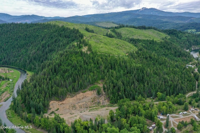 NKA Coeur Dalene River Rd, Kingston, ID 83839 - photo 18