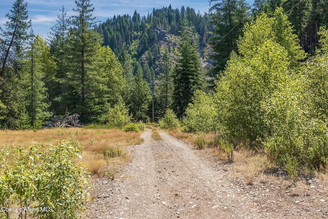 NKA Coeur Dalene River Rd, Kingston, ID 83839 - photo 21