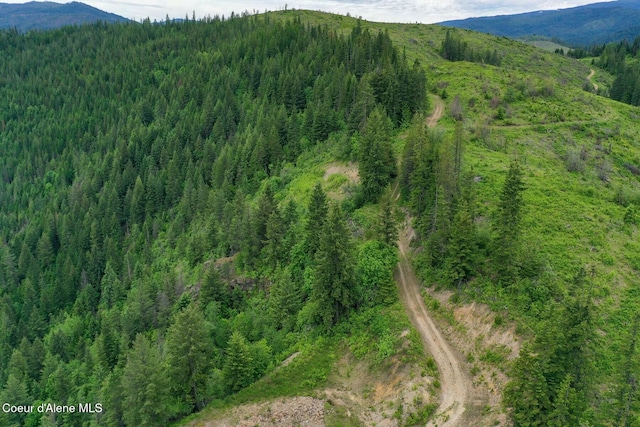 NKA Coeur Dalene River Rd, Kingston, ID 83839 - photo 23