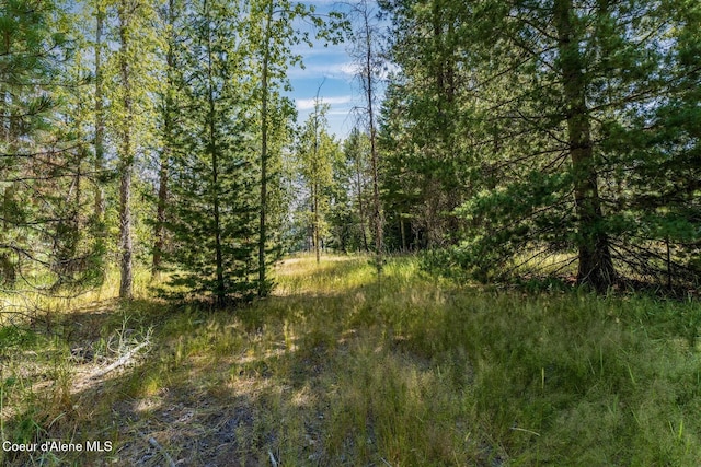 NKA Coeur Dalene River Rd, Kingston, ID 83839 - photo 30