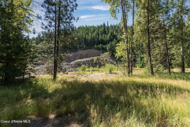 NKA Coeur Dalene River Rd, Kingston, ID 83839 - photo 31