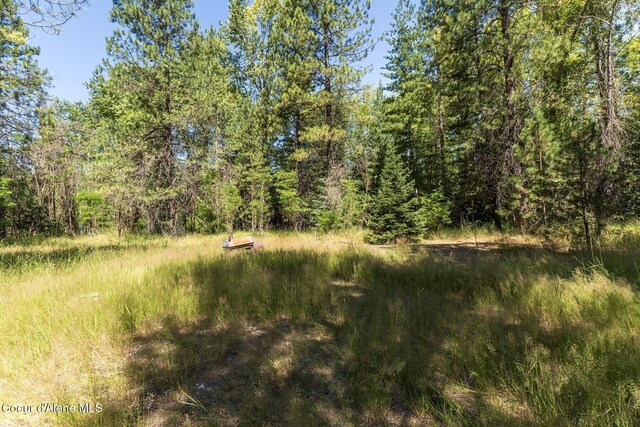 NKA Coeur Dalene River Rd, Kingston, ID 83839 - photo 33