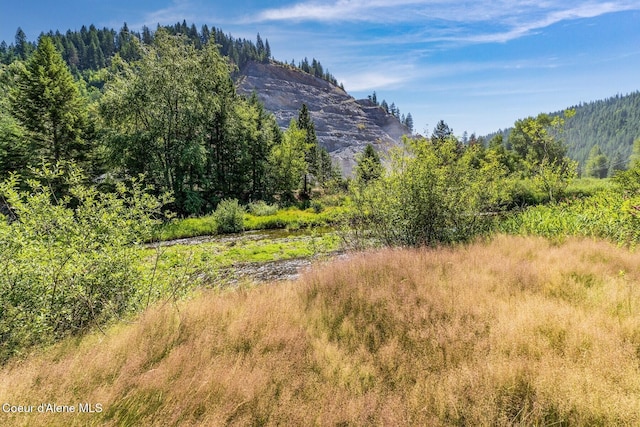 NKA Coeur Dalene River Rd, Kingston, ID 83839 - photo 35