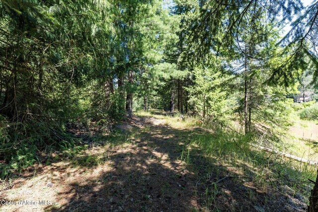 NKA Coeur Dalene River Rd, Kingston, ID 83839 - photo 40