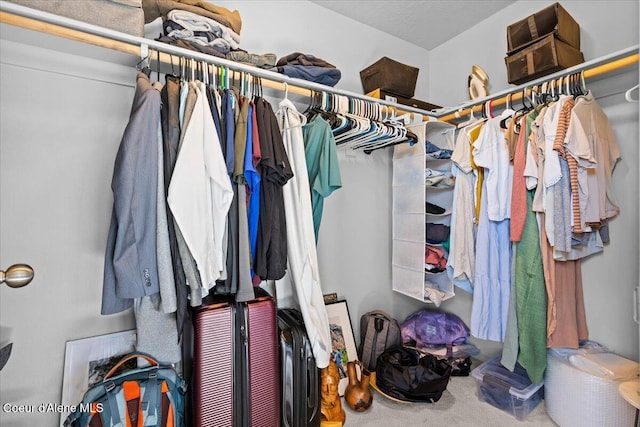 1482 N Skykomish Dr, Post Falls, ID 83854 - walk in closet with carpet flooring