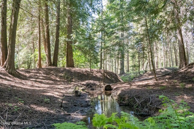 NKALOT8 Sailors Ln, Priest River, ID 83856