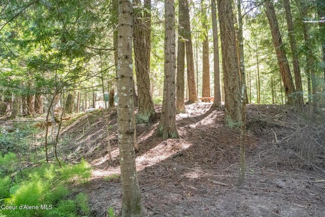 NKALOT8 Sailors Ln, Priest River, ID 83856