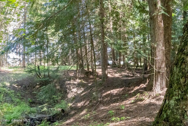 NKALOT8 Sailors Ln, Priest River, ID 83856