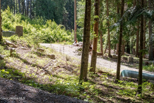 NKALOT8 Sailors Ln, Priest River, ID 83856
