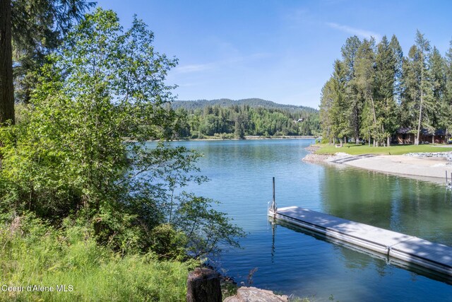 NKALOT8 Sailors Ln, Priest River, ID 83856