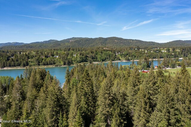 NKALOT8 Sailors Ln, Priest River, ID 83856