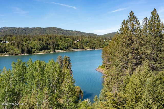 NKALOT8 Sailors Ln, Priest River, ID 83856