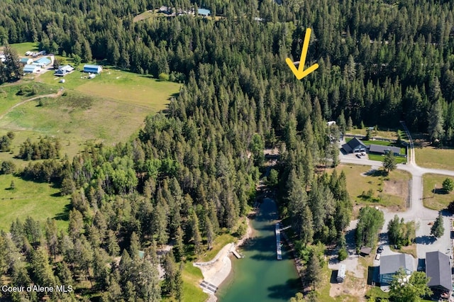 NKALOT8 Sailors Ln, Priest River, ID 83856
