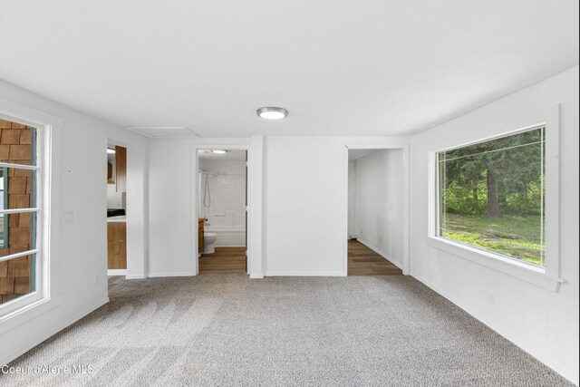 17561 E Perimeter Rd, Athol, ID 83801
