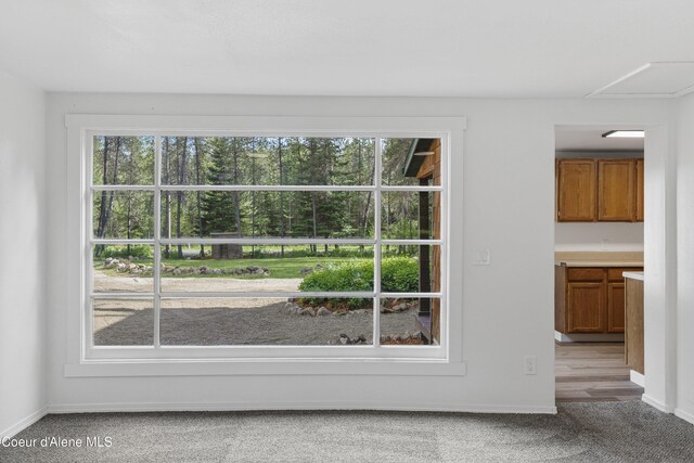 17561 E Perimeter Rd, Athol, ID 83801