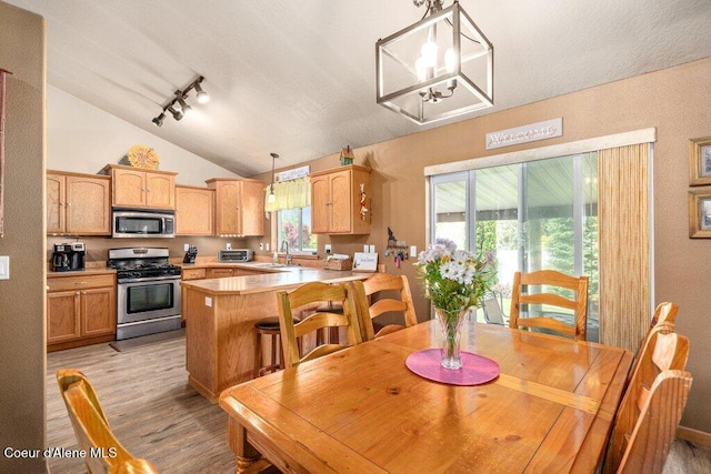 8558 N Boysenberry Loop, Hayden, ID 83835 - dining area with track lighting, light wood-style floors, vaulted ceiling, and a chandelier