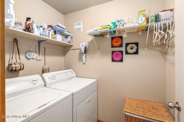 8558 N Boysenberry Loop, Hayden, ID 83835 - laundry area with independent washer and dryer