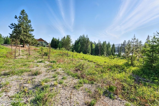 66 Beacon Hill Rd, Cocolalla, ID 83813