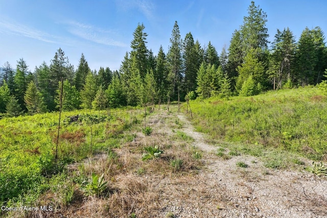 66 Beacon Hill Rd, Cocolalla, ID 83813