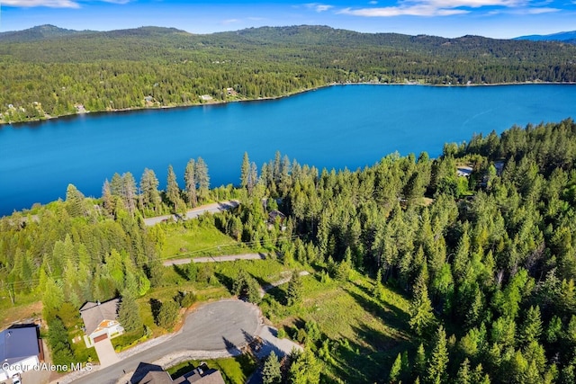 66 Beacon Hill Rd, Cocolalla, ID 83813