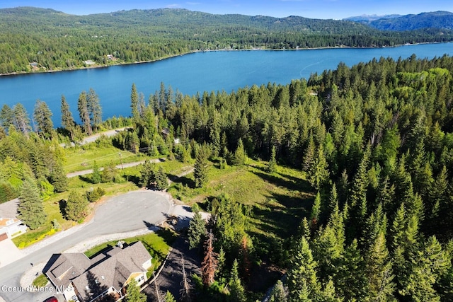 66 Beacon Hill Rd, Cocolalla, ID 83813