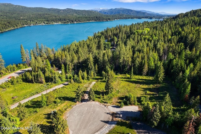 66 Beacon Hill Rd, Cocolalla, ID 83813