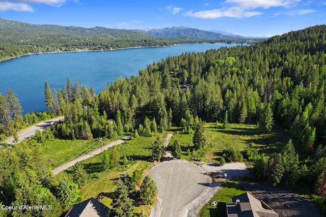 66 Beacon Hill Rd, Cocolalla, ID 83813