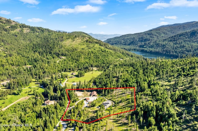 1446 Sagle Creek Rd, Sagle, ID 83860 - aerial view of property's location with a forest, a water and mountain view, and property boundaries highlighted