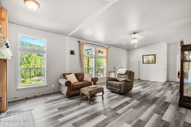 1446 Sagle Creek Rd, Sagle, ID 83860 - living room with light wood-type flooring, plenty of natural light, ceiling fan, a textured ceiling, and recessed lighting
