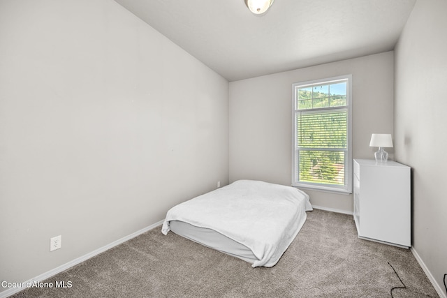 1446 Sagle Creek Rd, Sagle, ID 83860 - carpeted bedroom with baseboards