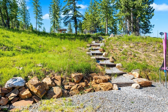 1446 Sagle Creek Rd, Sagle, ID 83860 - view of yard