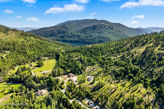 1446 Sagle Creek Rd, Sagle, ID 83860 - view of mountain background featuring a forest