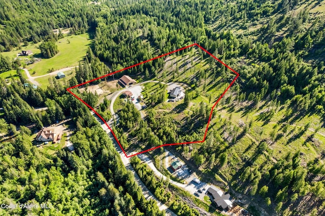 1446 Sagle Creek Rd, Sagle, ID 83860 - aerial view of property and surrounding area featuring property parcel outlined and a heavily wooded area