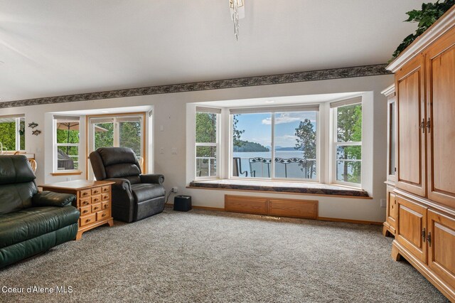 212 Ponder Point Dr, Sandpoint, ID 83864 - photo 28