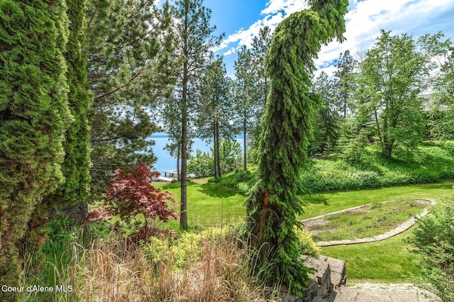 212 Ponder Point Dr, Sandpoint, ID 83864 - photo 38