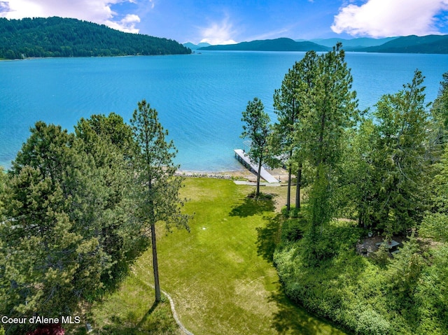 212 Ponder Point Dr, Sandpoint, ID 83864 - photo 56