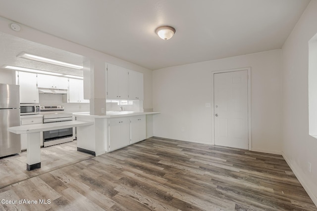 1611 E Birch St, Coeur Dalene, ID 83814 - kitchen featuring stainless steel appliances, under cabinet range hood, a sink, wood finished floors, and light countertops