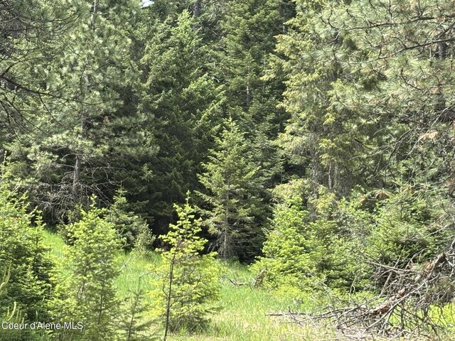 1539 S Blue Creek Rd, Coeur Dalene, ID 83814 - photo 51