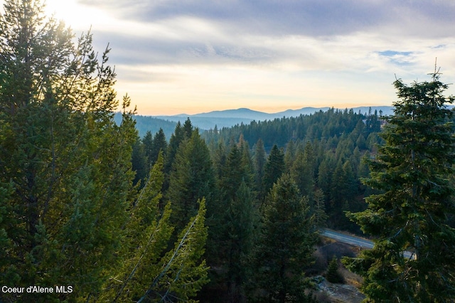 TBD E Sunnyside Rd, Coeur Dalene, ID 83814