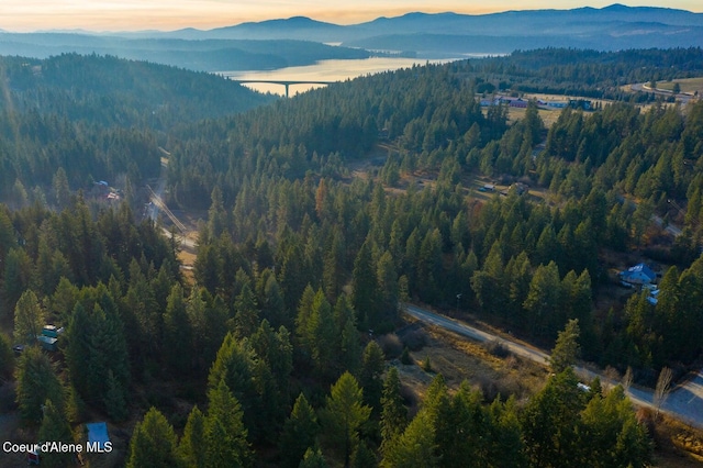 TBD E Sunnyside Rd, Coeur Dalene, ID 83814