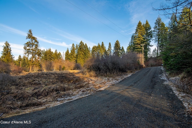 TBD E Sunnyside Rd, Coeur Dalene, ID 83814