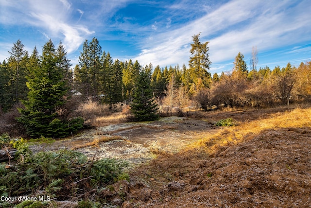 TBD E Sunnyside Rd, Coeur Dalene, ID 83814