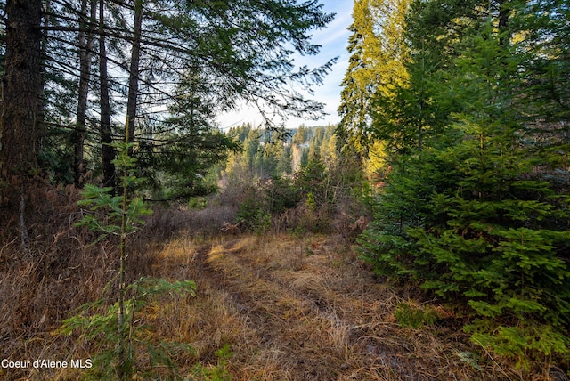 TBD E Sunnyside Rd, Coeur Dalene, ID 83814