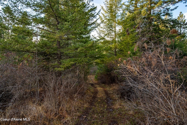 TBD E Sunnyside Rd, Coeur Dalene, ID 83814