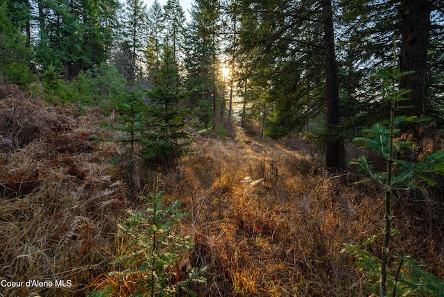 TBD E Sunnyside Rd, Coeur Dalene, ID 83814