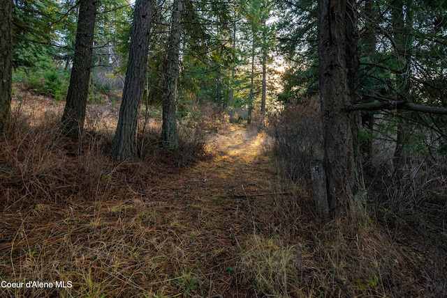 TBD E Sunnyside Rd, Coeur Dalene, ID 83814