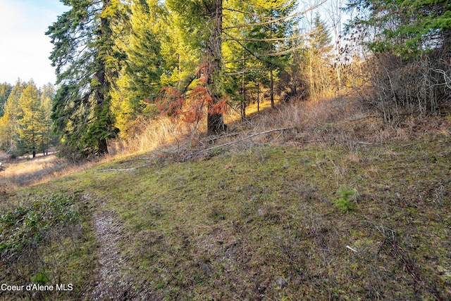 TBD E Sunnyside Rd, Coeur Dalene, ID 83814
