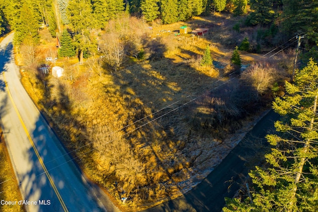 TBD E Sunnyside Rd, Coeur Dalene, ID 83814