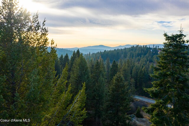 TBD E Sunnyside Rd, Coeur Dalene, ID 83814